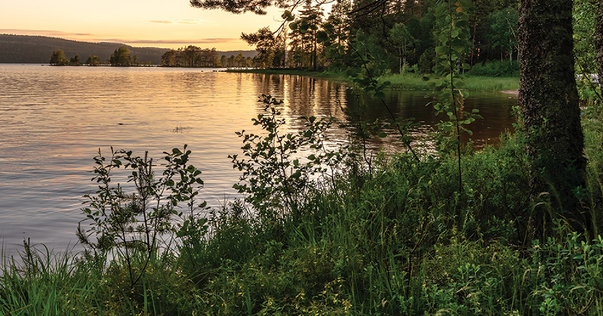 Nef Arsa Nisan Beynam 2 Native 1200X628