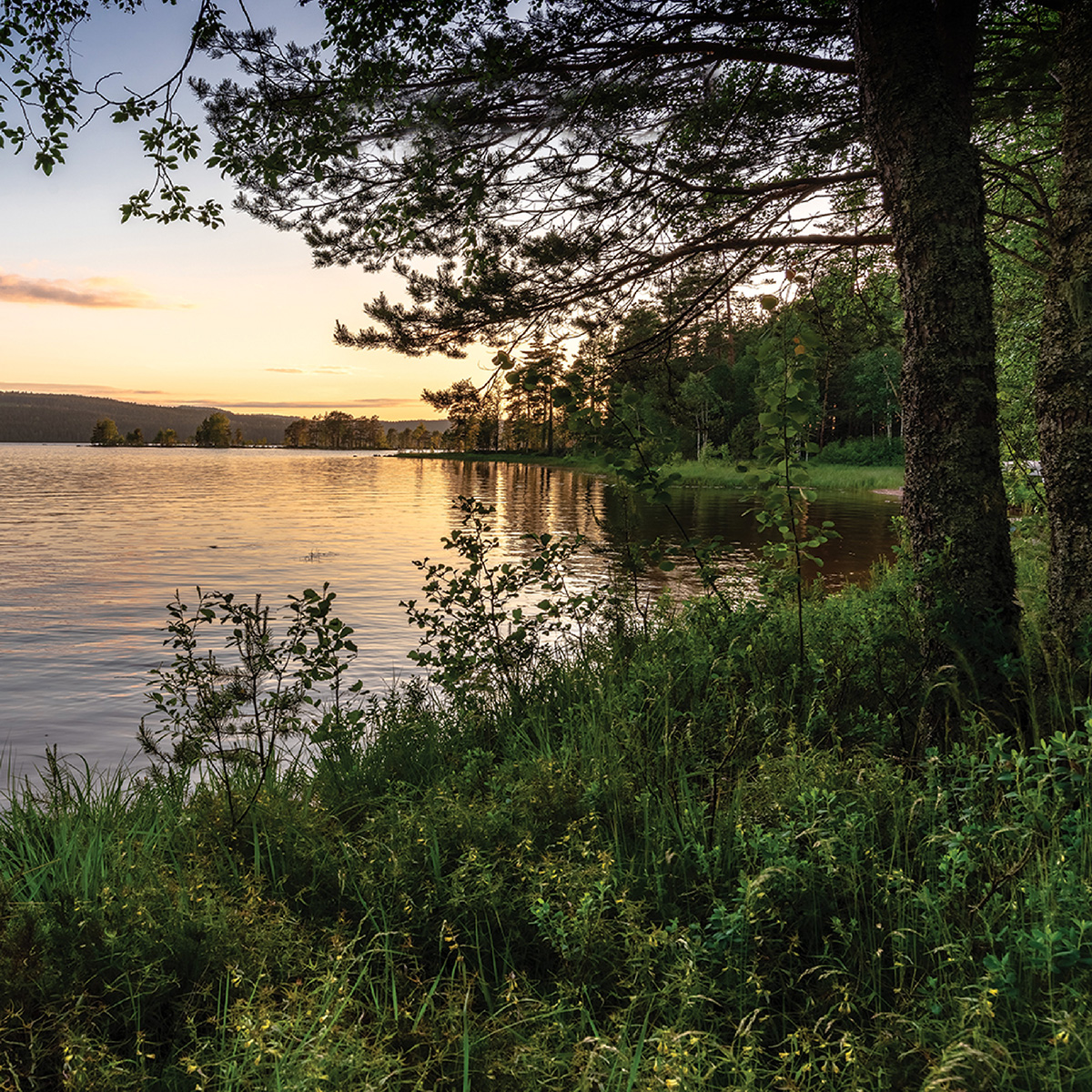 Nef Arsa Nisan Beynam 2 Native 1200X1200