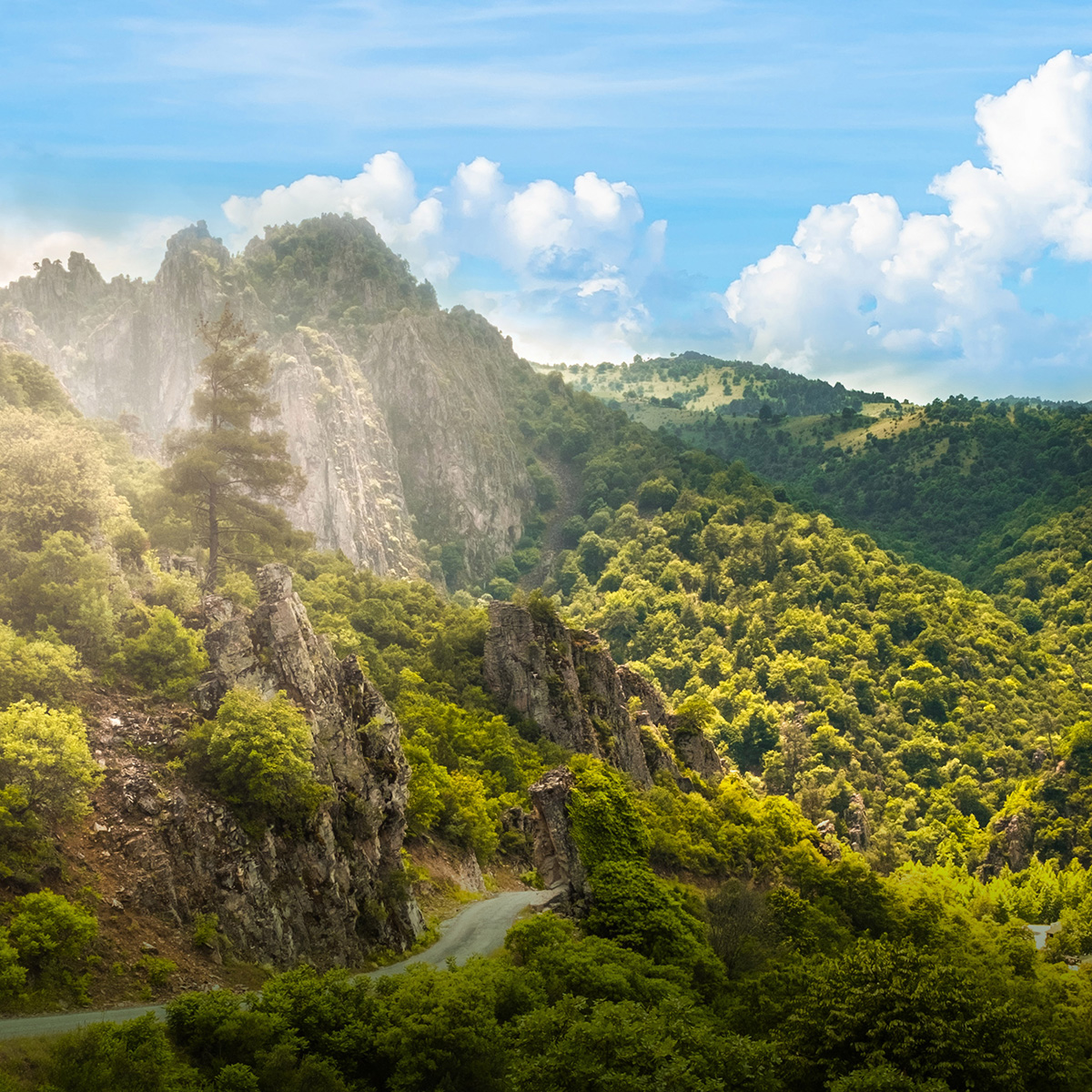 Nef Arsa Bursa Orhaneli 1 Native 1200X1200